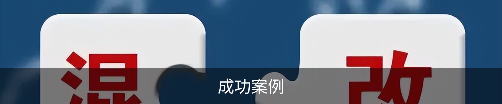 成功案例